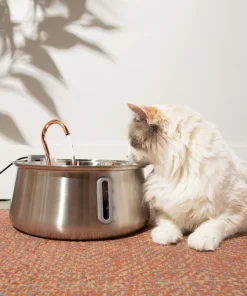 KittySpout Cat Water Fountain Review