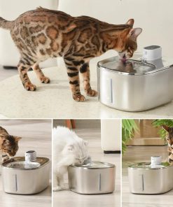 🐱 KittySpout Review – A Smart Water Fountain Your Cat Will Love