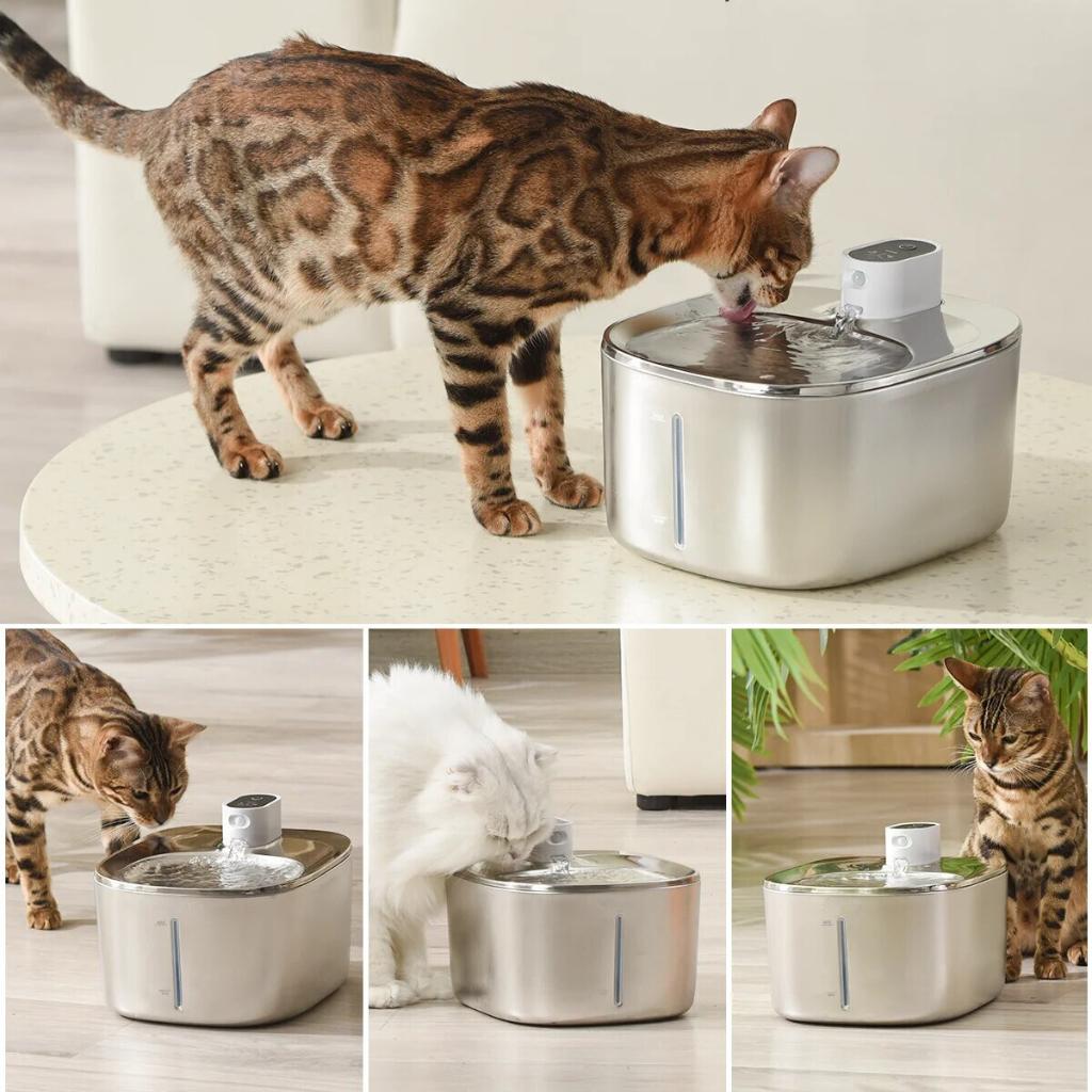 🐱 KittySpout Review – A Smart Water Fountain Your Cat Will Love